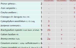 web table